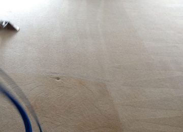 Gettingthedirtout-360x260