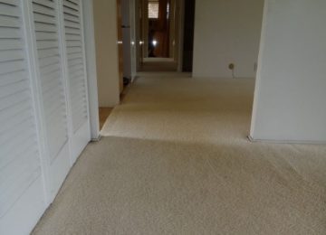 HallwayAfter-360x260